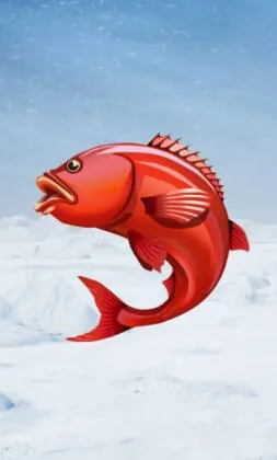 Crazy Time